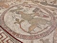 Image of the mosaics of Otranto Cathedral