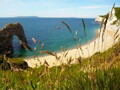 A view of the Dorset Coast, part of the Dorset and East Devon Landscape World Heritage Site