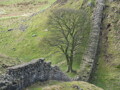 A view of Hadrian's Wall